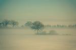 Winter_Fog