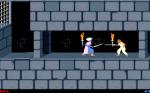 Prince of Persia 1  IBM PC MS-DOS