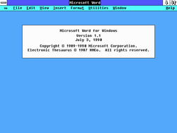 Winword110 1990-07-03 en 30.png