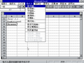 Excel310 1991-10-30 25.png
